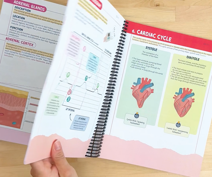 Study Guide for Nurses (Mental Health)